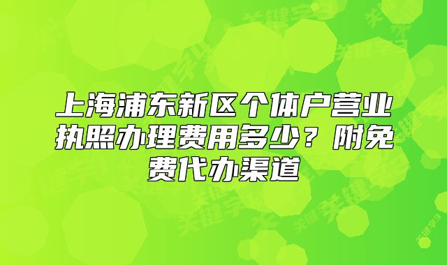 上海浦東新區(qū)個(gè)體戶營(yíng)業(yè)執(zhí)照辦理費(fèi)用多少？附免費(fèi)代辦渠道