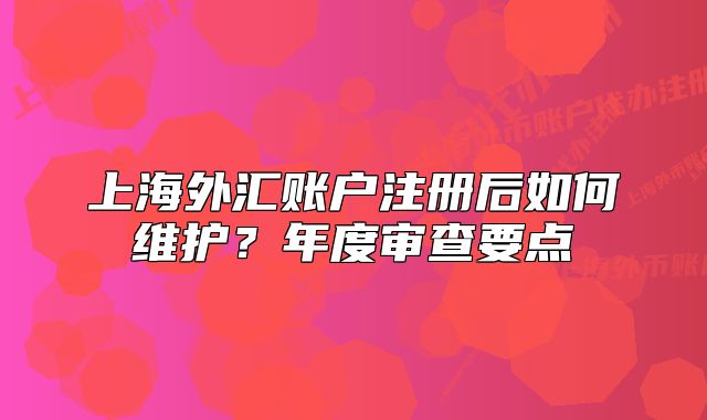 上海外匯賬戶注冊后如何維護(hù)？年度審查要點(diǎn)