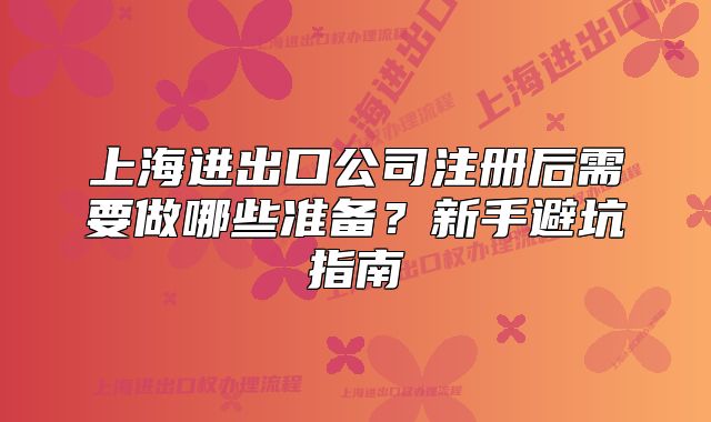 上海進(jìn)出口公司注冊后需要做哪些準(zhǔn)備？新手避坑指南