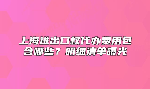 上海進(jìn)出口權(quán)代辦費(fèi)用包含哪些？明細(xì)清單曝光