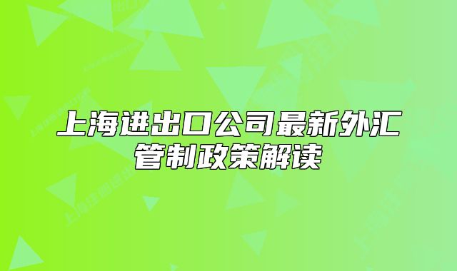 上海進出口公司最新外匯管制政策解讀