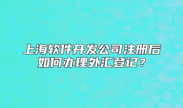 上海軟件開發(fā)公司注冊后如何辦理外匯登記？