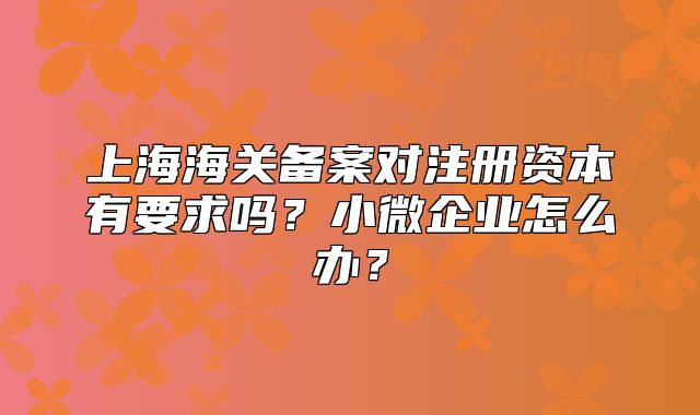 上海海關備案對注冊資本有要求嗎？小微企業(yè)怎么辦？