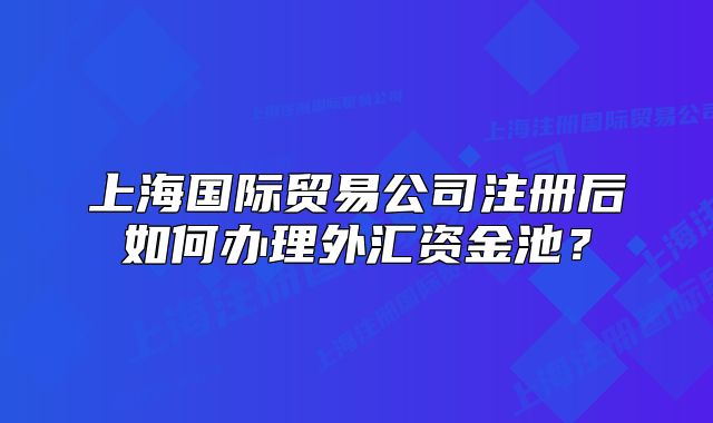 上海國(guó)際貿(mào)易公司注冊(cè)后如何辦理外匯資金池？
