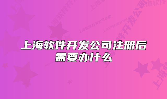 上海軟件開發(fā)公司注冊(cè)后需要辦什么