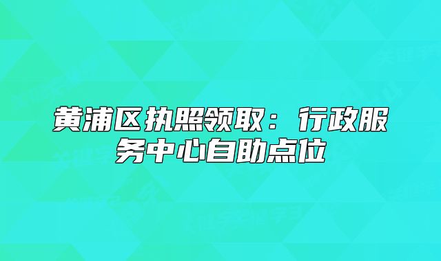 黃浦區(qū)執(zhí)照領(lǐng)?。盒姓?wù)中心自助點位