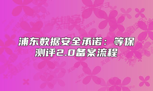 浦東數(shù)據(jù)安全承諾：等保測(cè)評(píng)2.0備案流程