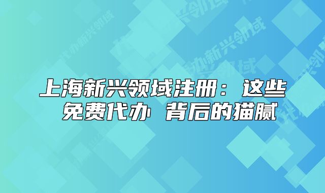 上海新興領(lǐng)域注冊(cè)：這些 免費(fèi)代辦 背后的貓膩