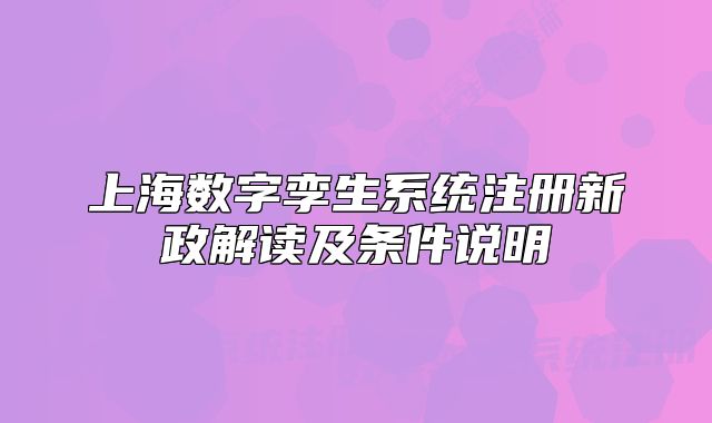 上海數(shù)字孿生系統(tǒng)注冊(cè)新政解讀及條件說(shuō)明