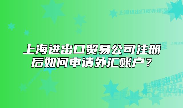 上海進出口貿(mào)易公司注冊后如何申請外匯賬戶？