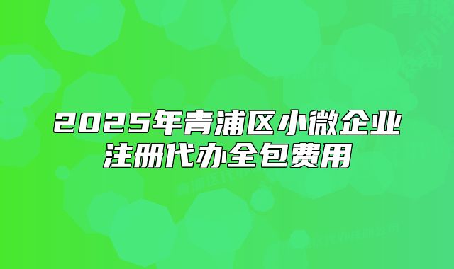 2025年青浦區(qū)小微企業(yè)注冊(cè)代辦全包費(fèi)用