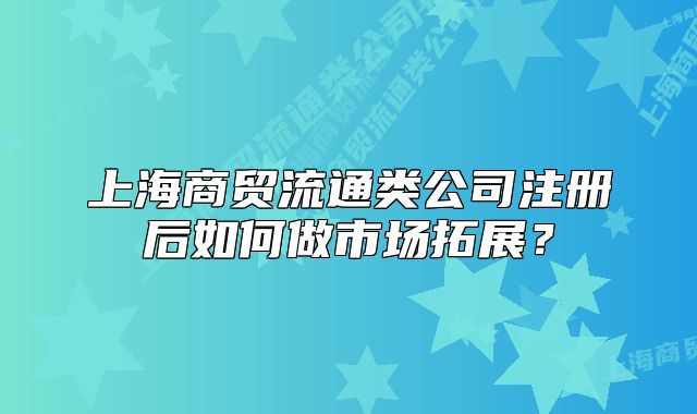 上海商貿流通類公司注冊后如何做市場拓展？