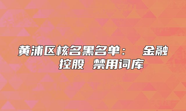 黃浦區(qū)核名黑名單： 金融  控股 禁用詞庫(kù)