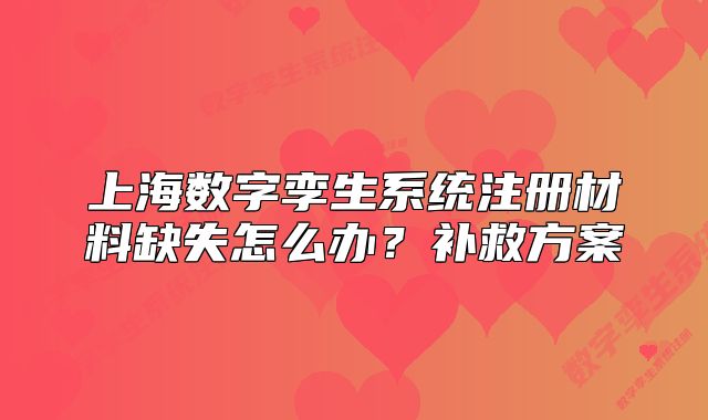 上海數(shù)字孿生系統(tǒng)注冊材料缺失怎么辦？補救方案