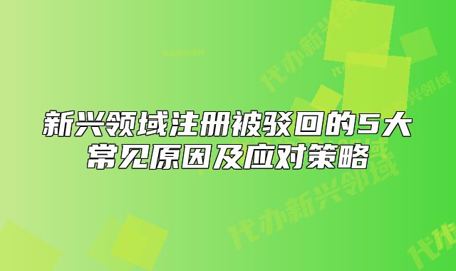 新興領(lǐng)域注冊被駁回的5大常見原因及應(yīng)對策略