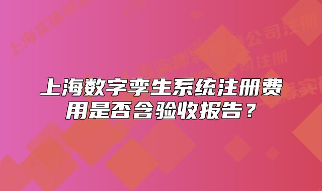 上海數(shù)字孿生系統(tǒng)注冊費用是否含驗收報告？