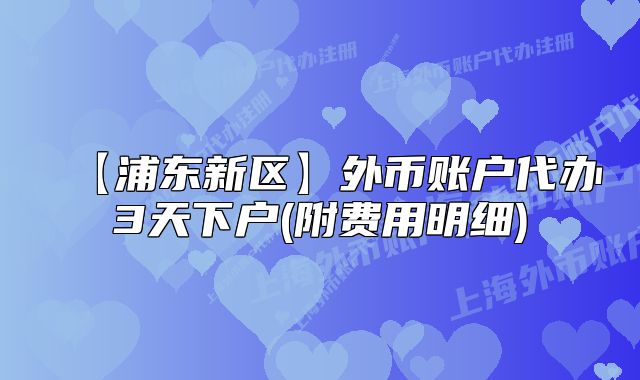 【浦東新區(qū)】外幣賬戶代辦3天下戶(附費用明細(xì))