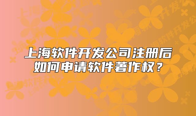 上海軟件開發(fā)公司注冊后如何申請軟件著作權(quán)？