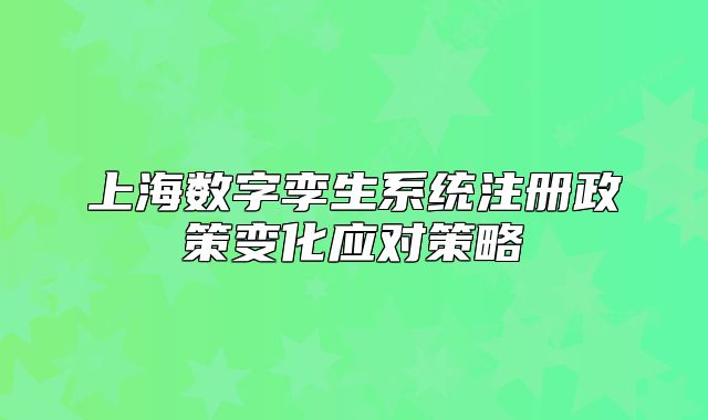 上海數(shù)字孿生系統(tǒng)注冊(cè)政策變化應(yīng)對(duì)策略