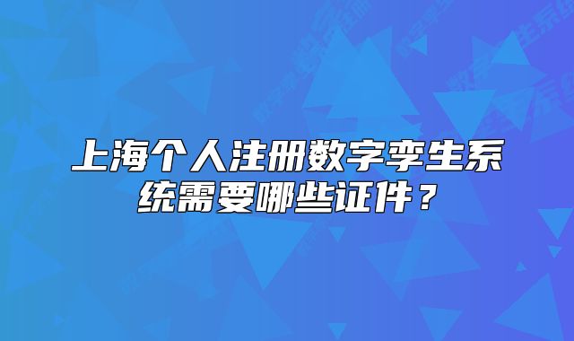 上海個人注冊數(shù)字孿生系統(tǒng)需要哪些證件？