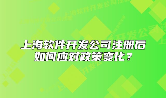 上海軟件開發(fā)公司注冊后如何應(yīng)對政策變化？