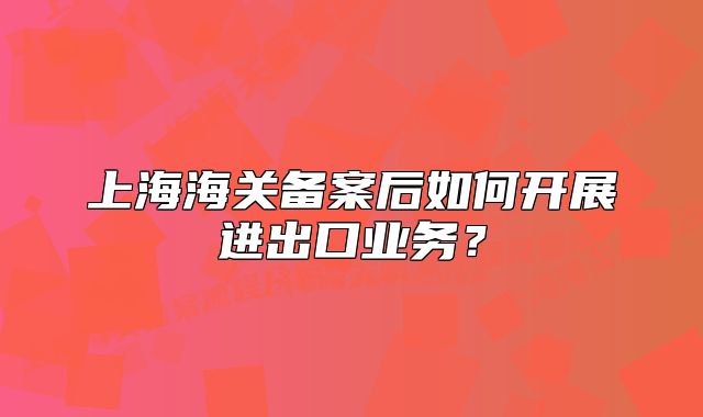 上海海關(guān)備案后如何開(kāi)展進(jìn)出口業(yè)務(wù)？