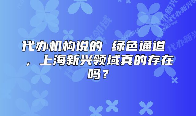 代辦機(jī)構(gòu)說的 綠色通道 ，上海新興領(lǐng)域真的存在嗎？
