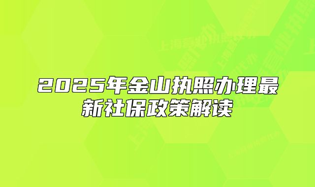 2025年金山執(zhí)照辦理最新社保政策解讀