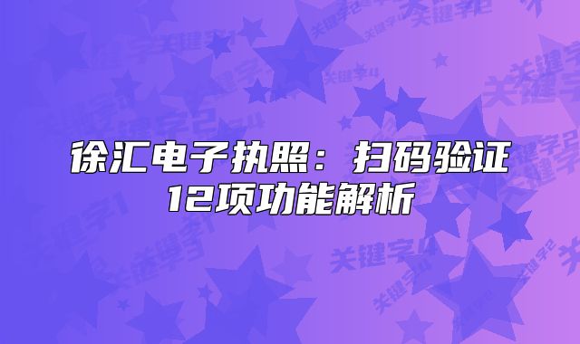 徐匯電子執(zhí)照：掃碼驗證12項功能解析