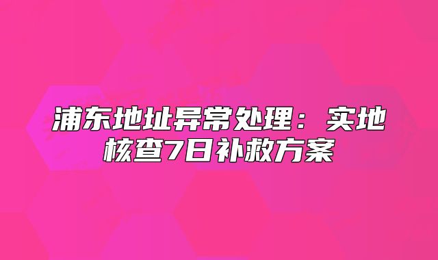 浦東地址異常處理：實(shí)地核查7日補(bǔ)救方案