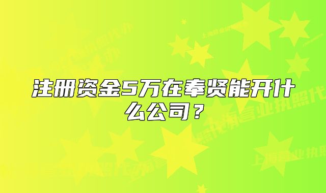注冊(cè)資金5萬(wàn)在奉賢能開(kāi)什么公司？
