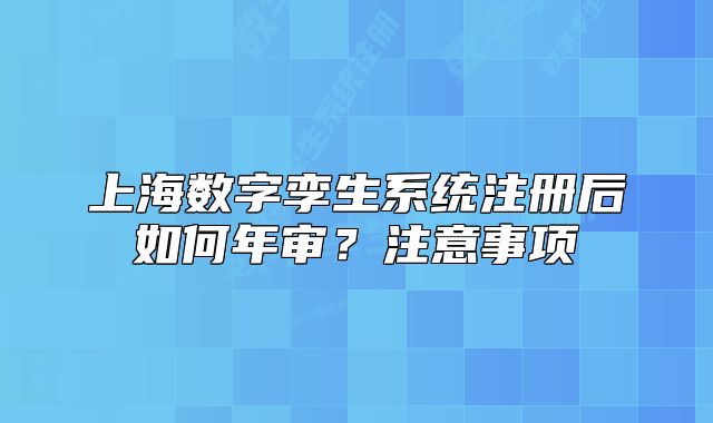 上海數(shù)字孿生系統(tǒng)注冊后如何年審？注意事項