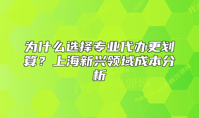 為什么選擇專業(yè)代辦更劃算？上海新興領(lǐng)域成本分析