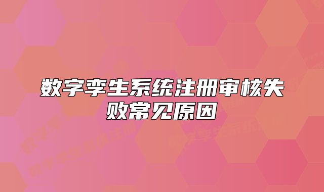 數(shù)字孿生系統(tǒng)注冊(cè)審核失敗常見(jiàn)原因