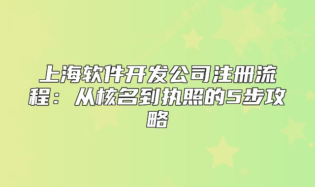 上海軟件開(kāi)發(fā)公司注冊(cè)流程：從核名到執(zhí)照的5步攻略