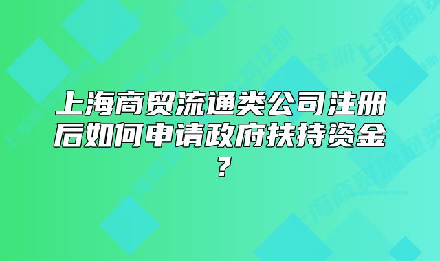 上海商貿(mào)流通類公司注冊后如何申請政府扶持資金？
