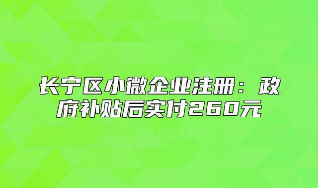 長寧區(qū)小微企業(yè)注冊：政府補貼后實付260元