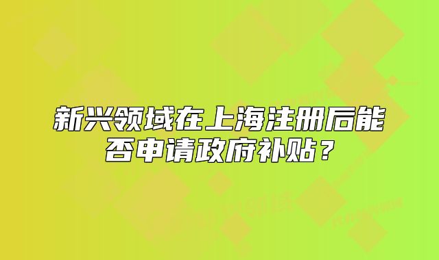 新興領(lǐng)域在上海注冊(cè)后能否申請(qǐng)政府補(bǔ)貼？
