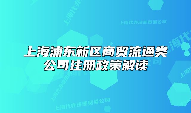 上海浦東新區(qū)商貿(mào)流通類公司注冊政策解讀
