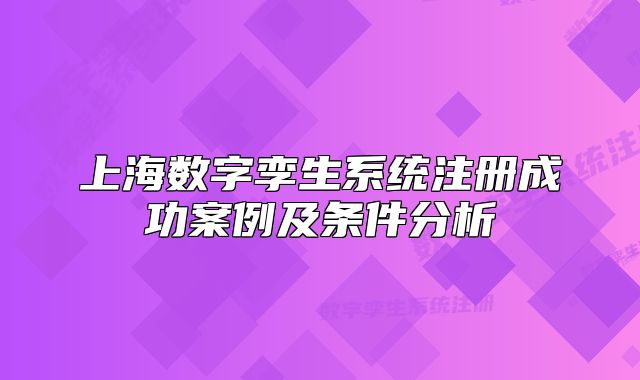 上海數(shù)字孿生系統(tǒng)注冊成功案例及條件分析
