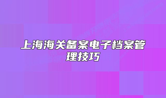 上海海關(guān)備案電子檔案管理技巧