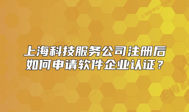 上?？萍挤?wù)公司注冊(cè)后如何申請(qǐng)軟件企業(yè)認(rèn)證？