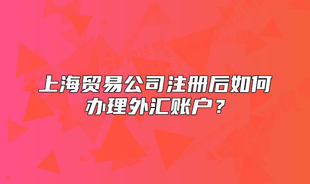 上海貿(mào)易公司注冊(cè)后如何辦理外匯賬戶？