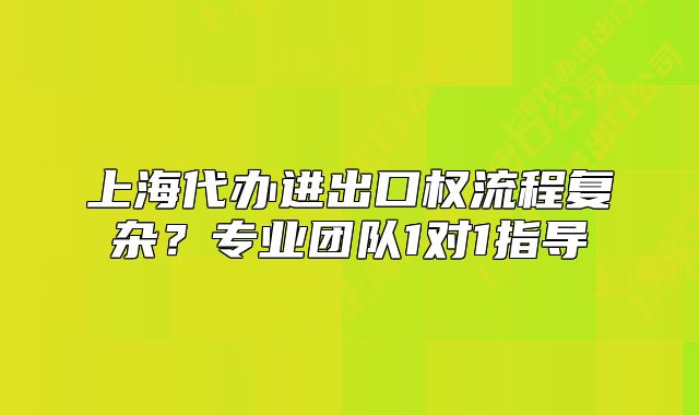 上海代辦進出口權(quán)流程復(fù)雜？專業(yè)團隊1對1指導(dǎo)