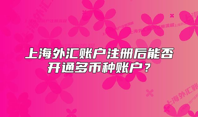上海外匯賬戶注冊后能否開通多幣種賬戶？