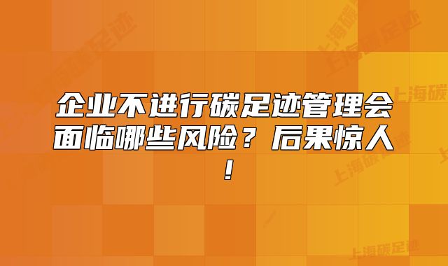企業(yè)不進(jìn)行碳足跡管理會(huì)面臨哪些風(fēng)險(xiǎn)？后果驚人！