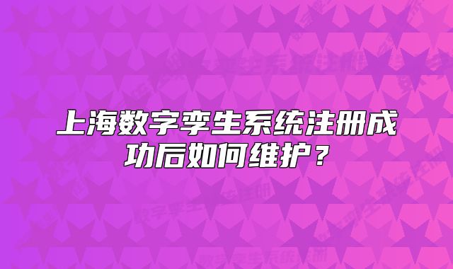 上海數(shù)字孿生系統(tǒng)注冊(cè)成功后如何維護(hù)？