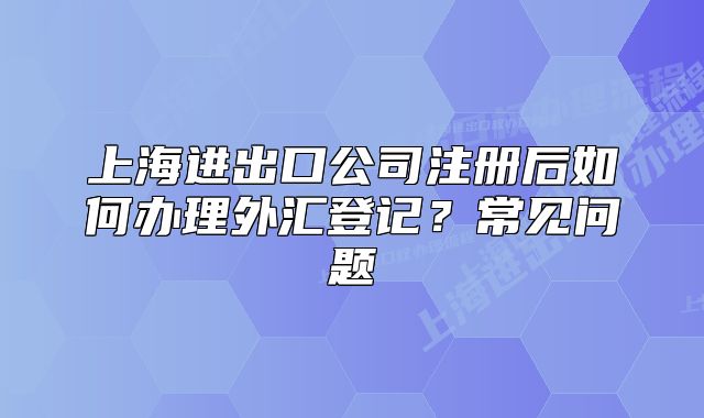 上海進(jìn)出口公司注冊(cè)后如何辦理外匯登記？常見(jiàn)問(wèn)題