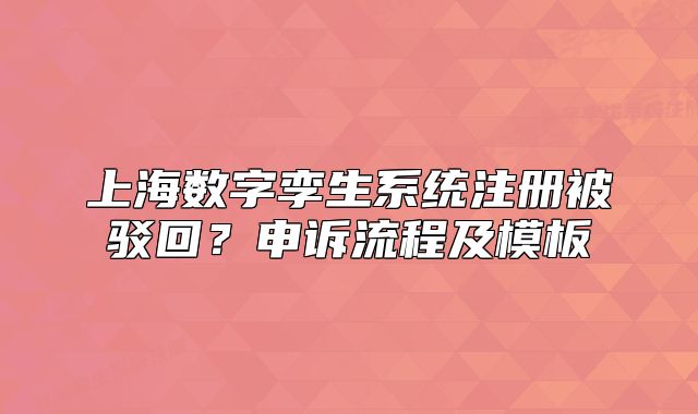 上海數(shù)字孿生系統(tǒng)注冊被駁回？申訴流程及模板