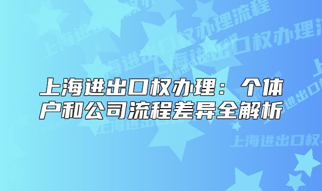 上海進出口權辦理：個體戶和公司流程差異全解析